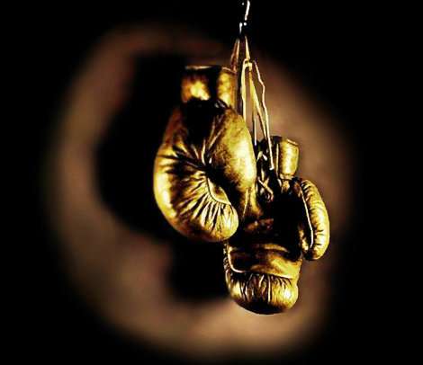 Tampa Businessman Wins National Boxing Championship